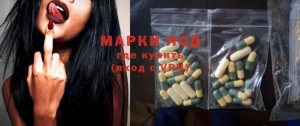 спиды Ельня