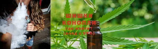 спиды Ельня