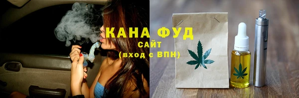 спиды Ельня