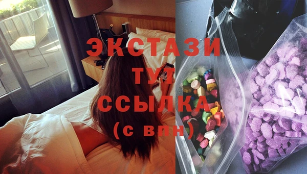 спиды Ельня