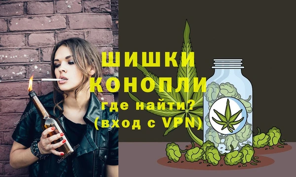 спиды Ельня