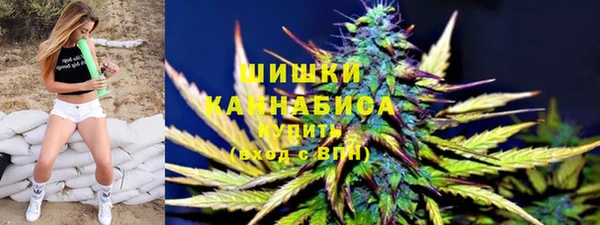 спиды Ельня