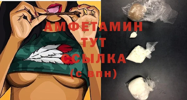 спиды Ельня