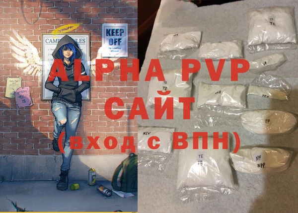 спиды Ельня