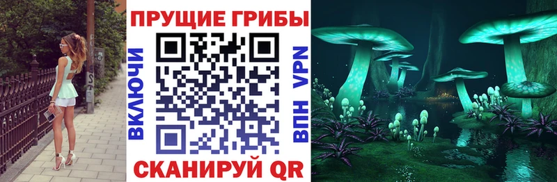 купить наркотик  гидра   Галлюциногенные грибы прущие грибы  Вилючинск 